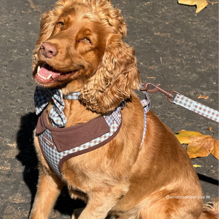 Chelsea Check Adjustable Neck HARNESS: M
