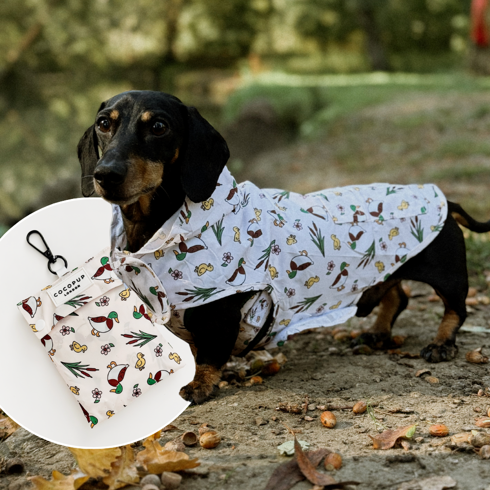 Dog Raincoat - Puddle Pup: M
