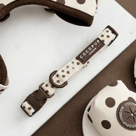 Tiramisu Polka Dot COLLAR: XS