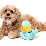 Ducktor - Dog Toy