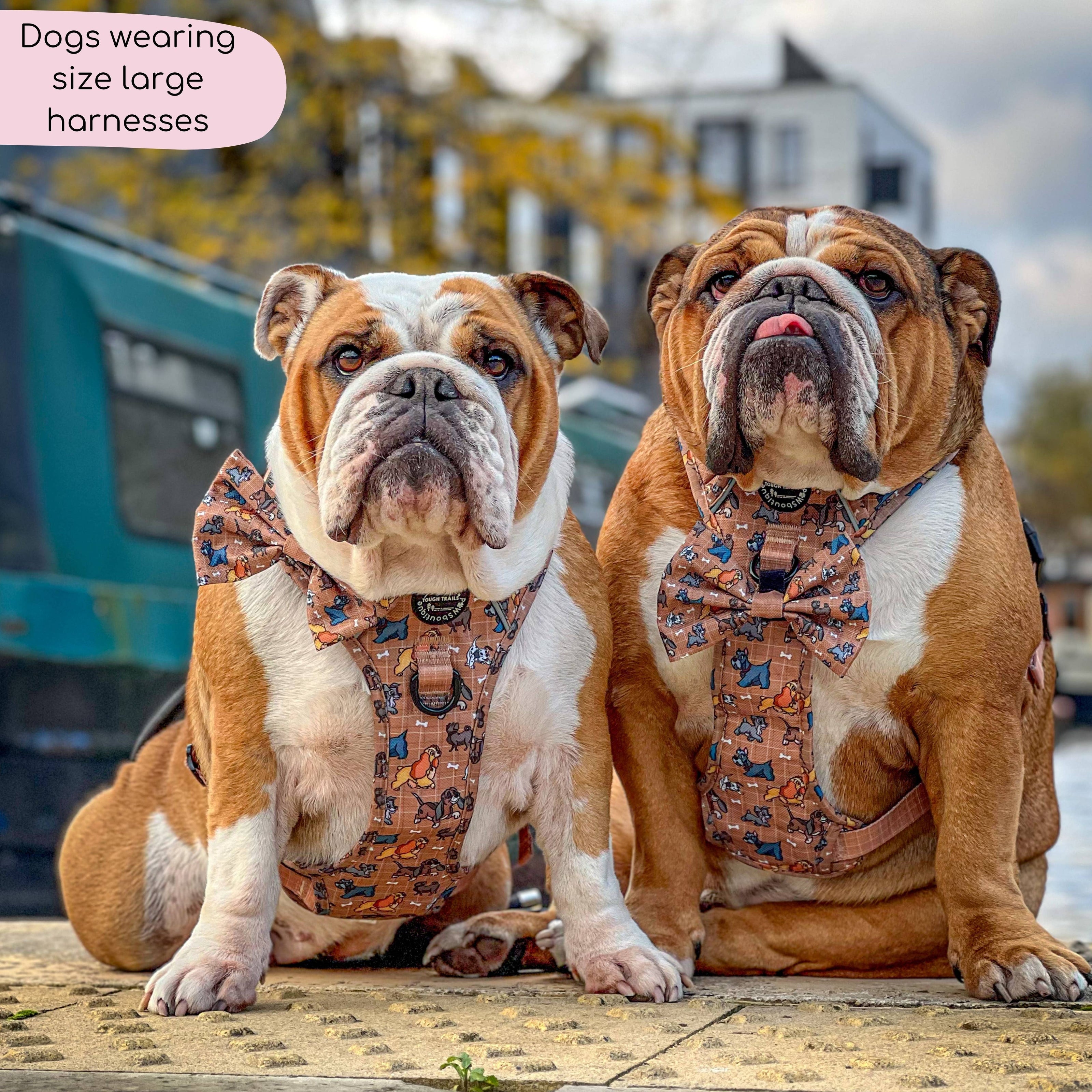 Disney© Tough Trails™ Harness - Disney Dogs: M