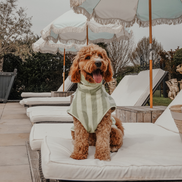 Matcha Stripe | The Cosy Cloak Drying Robe: S