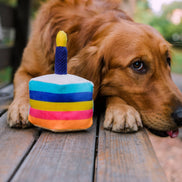 Party Time Bone-Appetit Cake Plush Dog Toy