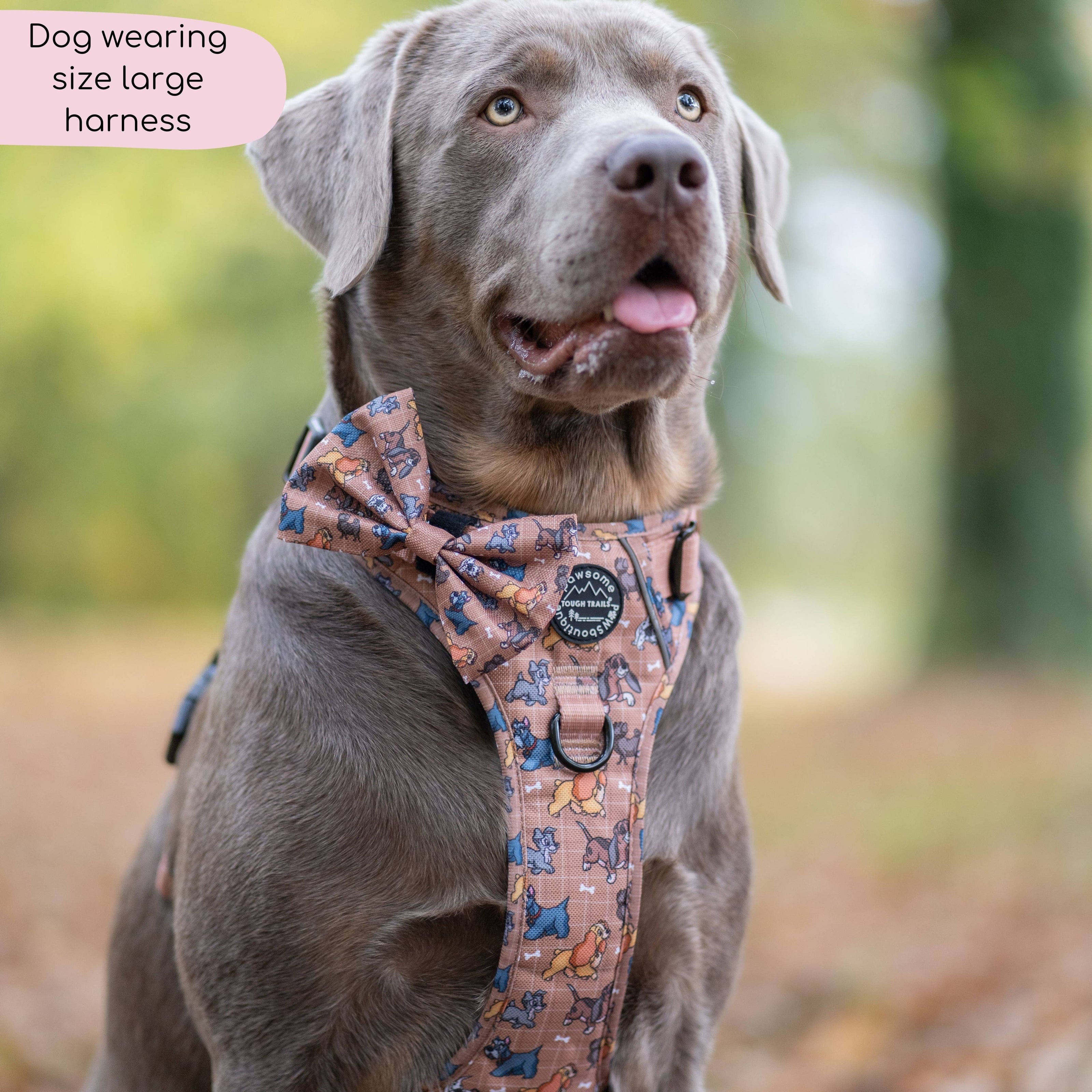 Disney© Tough Trails™ Harness - Disney Dogs: M