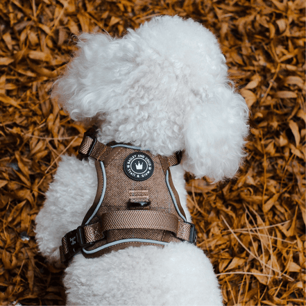 Trail & Glow Tweed Dog Harness - Oxford Tweed: XS
