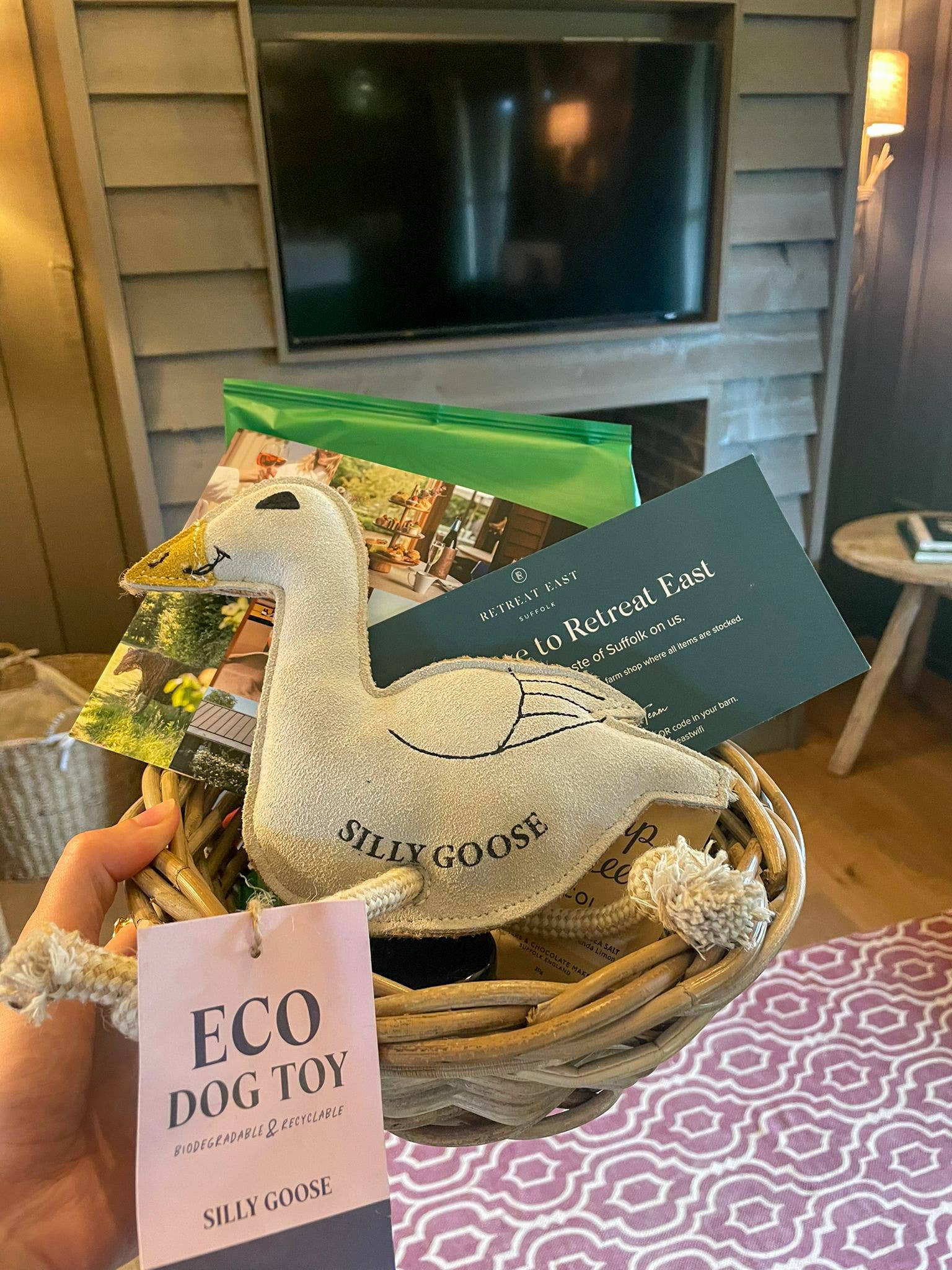 Silly Goose Eco Dog Toy
