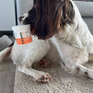 Eye Wipes for Dogs