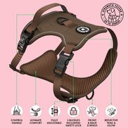 Trail & Glow Tweed Dog Harness - Oxford Tweed: XS