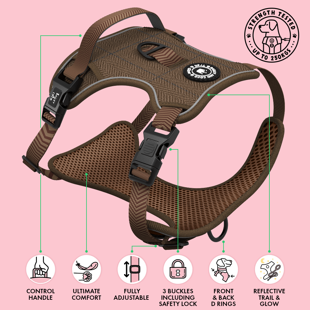 Trail & Glow Tweed Dog Harness - Oxford Tweed: M