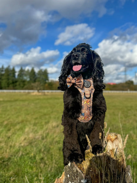 Disney© Bow Tie - Disney Dogs: Regular