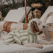 Matcha Stripe | The Cosy Cloak Drying Robe: XS
