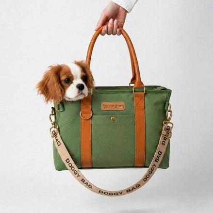 Stylish Dog Bag - Green: Default Title