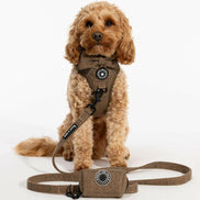 Trail & Glow Tweed Dog Harness - Oxford Tweed: M