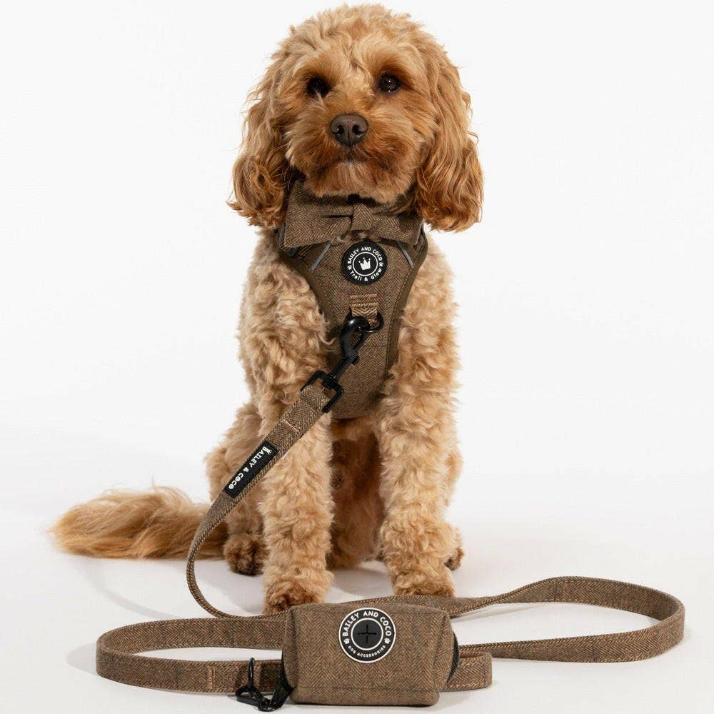 Trail & Glow Tweed Dog Harness - Oxford Tweed: XS