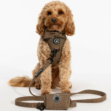 Dog Lead 5ft - Oxford Tweed: 5FT