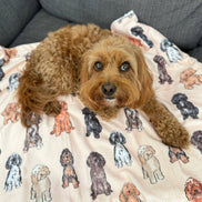 The Oodles & Doodles Dog Blanket