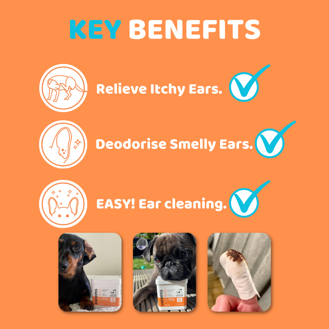 Dog Ear Wipes