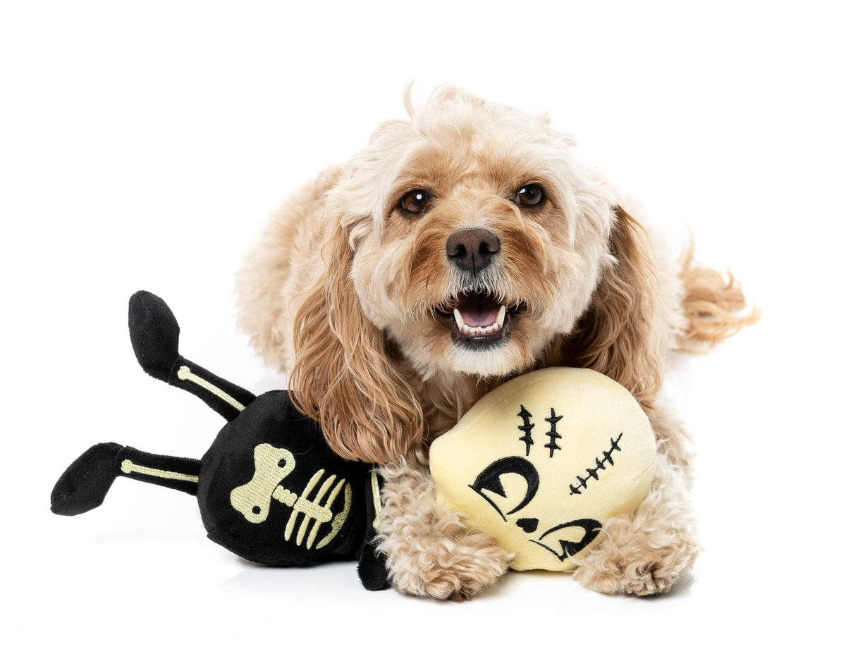 Jerry Spinefield - Dog Toys