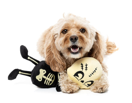 Jerry Spinefield - Dog Toys
