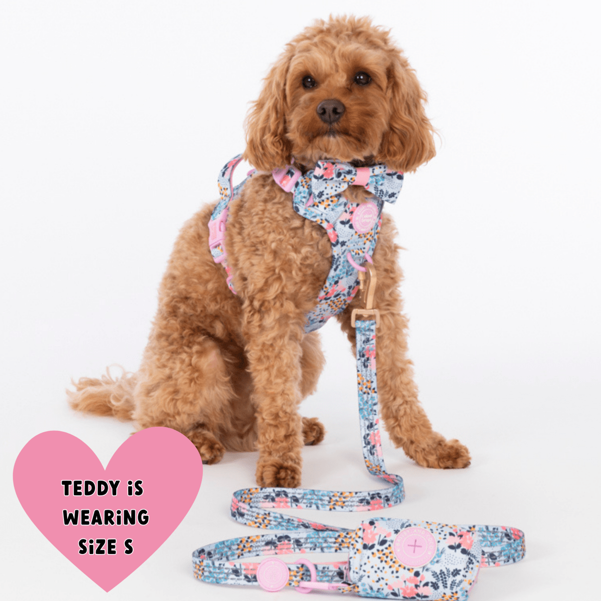 Floral Dog Harness - Colour Drops - Spring Dreams: M