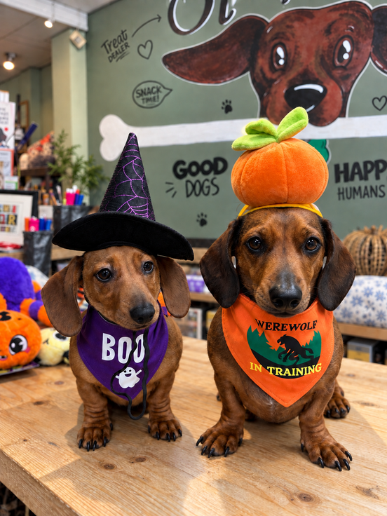 Doggy Boo Box