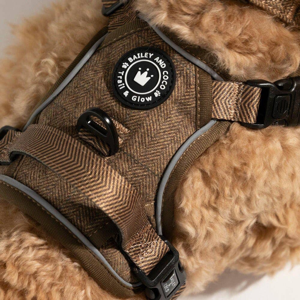 Trail & Glow Tweed Dog Harness - Oxford Tweed: XS