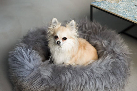 Grey Sheepskin Pet Bed: 40cm