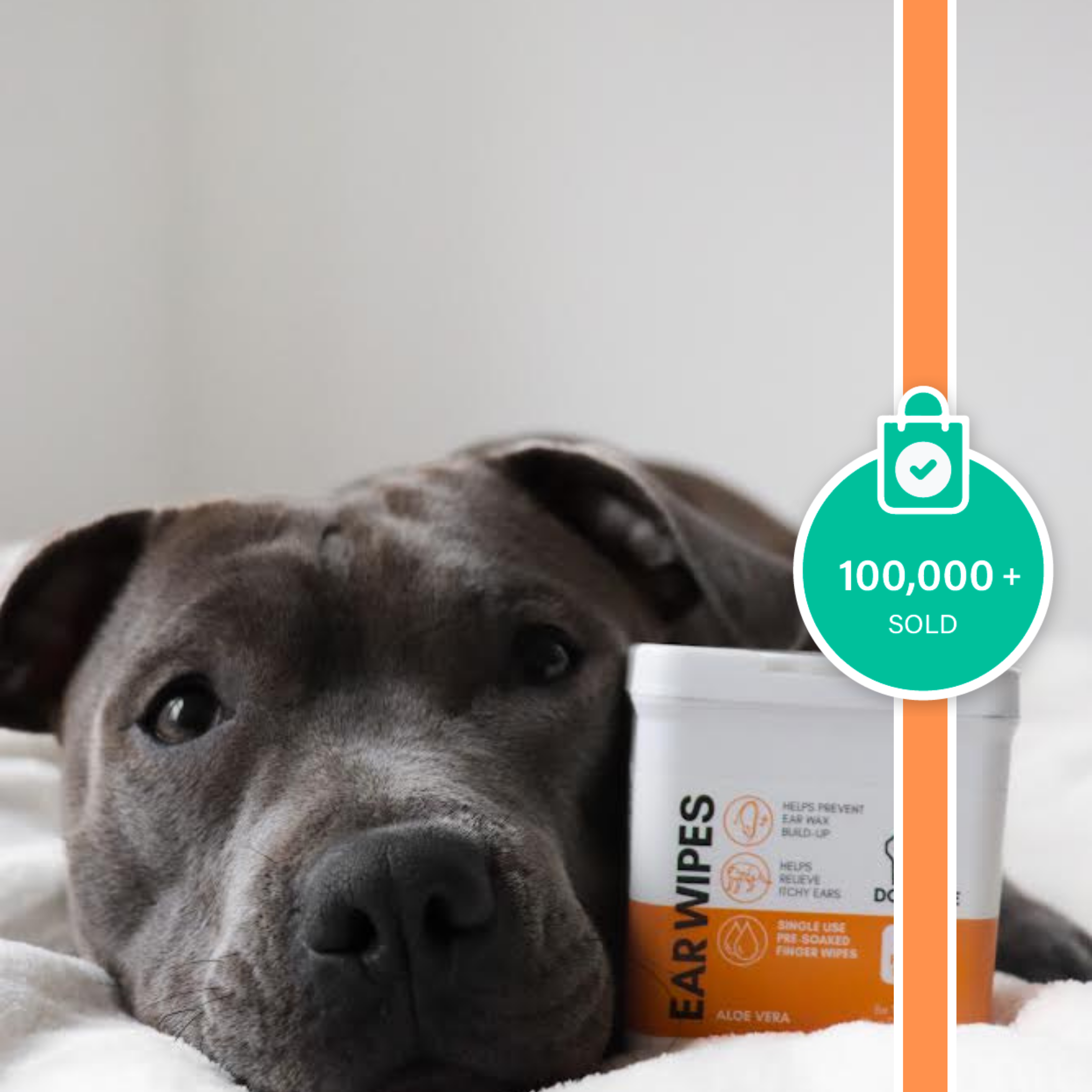 Dog Ear Wipes