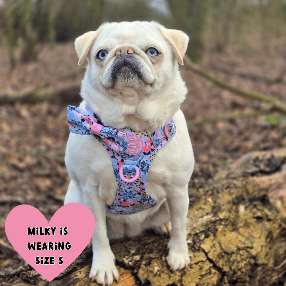 Floral Dog Harness - Colour Drops - Spring Dreams: S
