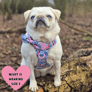 Floral Dog Harness - Colour Drops - Spring Dreams: L