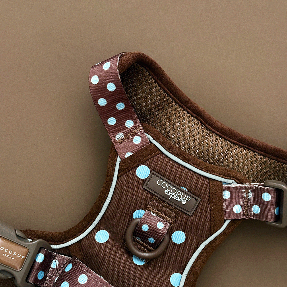 Explore Harness - Biscotti Blue: M