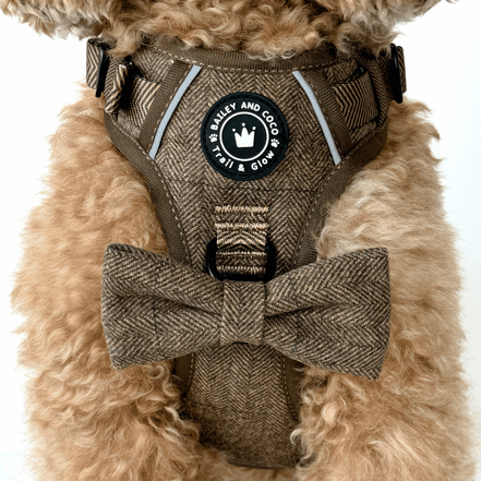 Trail & Glow Tweed Dog Harness - Oxford Tweed: M