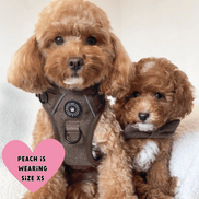 Trail & Glow Tweed Dog Harness - Oxford Tweed: XS