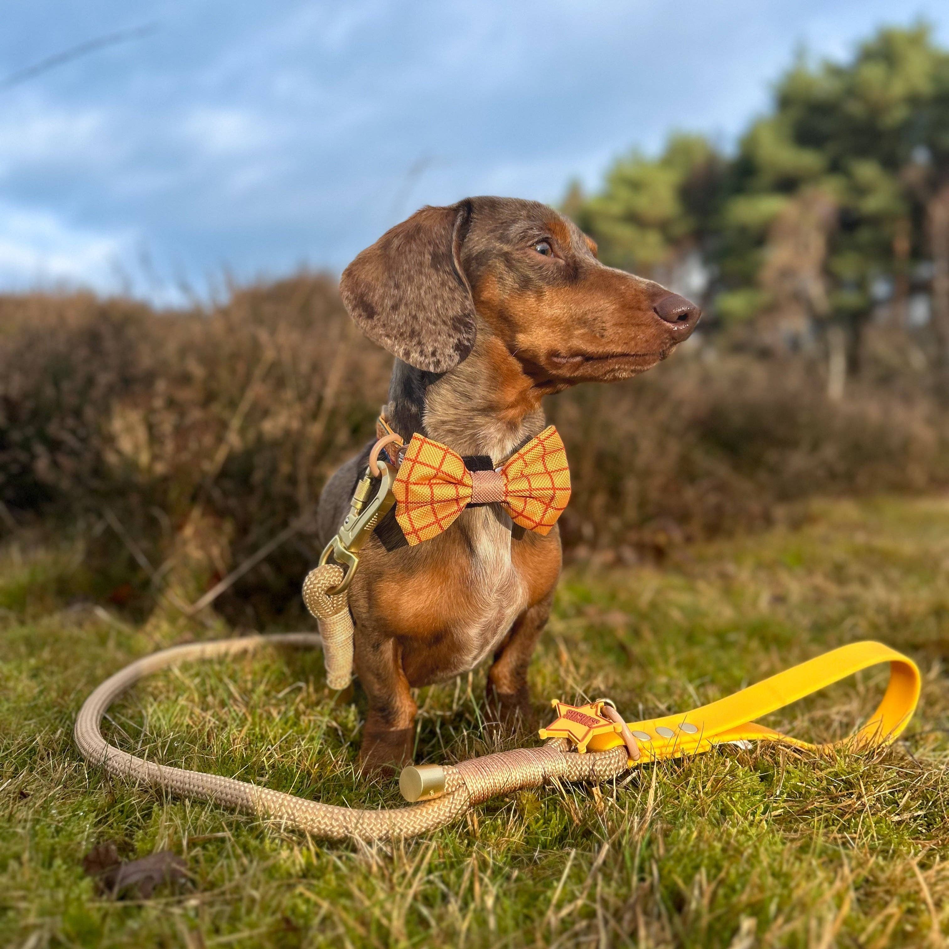 Disney© 4ft Rope Lead - Woody