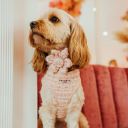Pink Textured Tweed Collar Flower