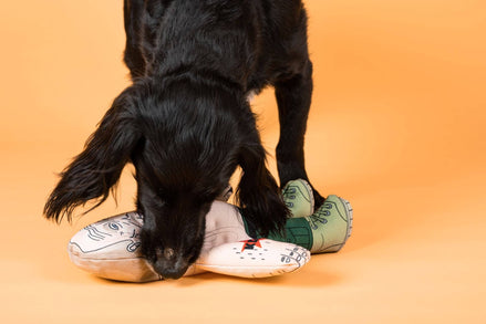 Vladimir Putin dog toy: Regular Dog Toy