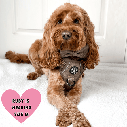 Trail & Glow Tweed Dog Harness - Oxford Tweed: XS