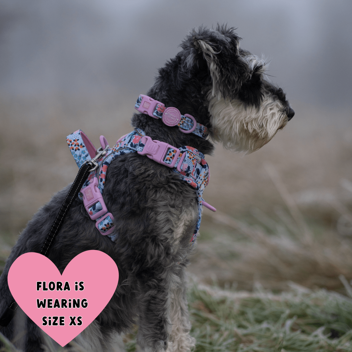 Floral Dog Harness - Colour Drops - Spring Dreams: S