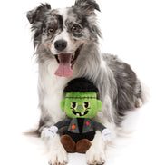 Igor Halloween  - Dog Toy
