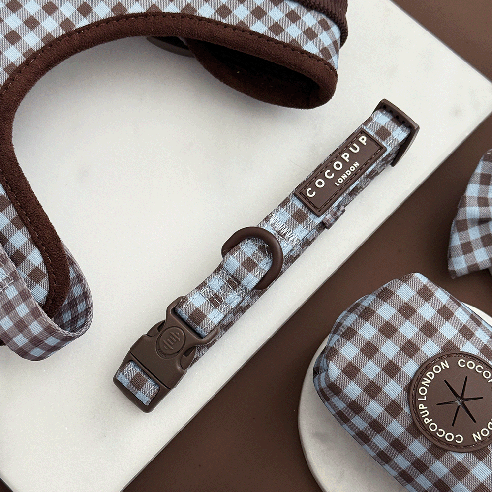 Chelsea Check COLLAR: L
