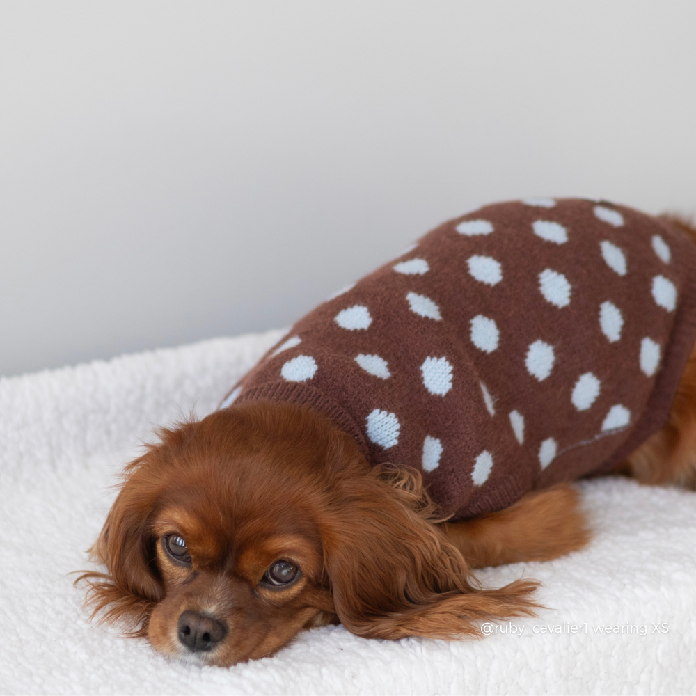 Jumper - Biscotti Blue: M