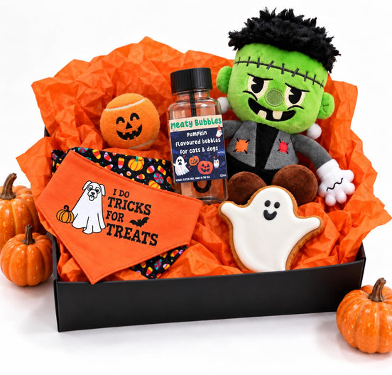 Doggy Boo Box