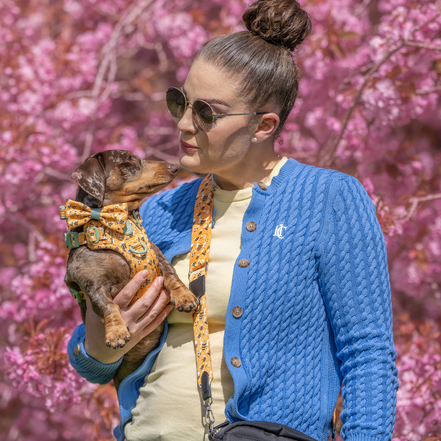 Trail & Glow Dog Harness Bundle Set - Colour Drops - Wanna-Bee: M / M