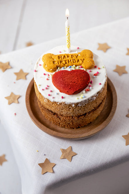 Dog Birthday Cake - Natural & Grain Free