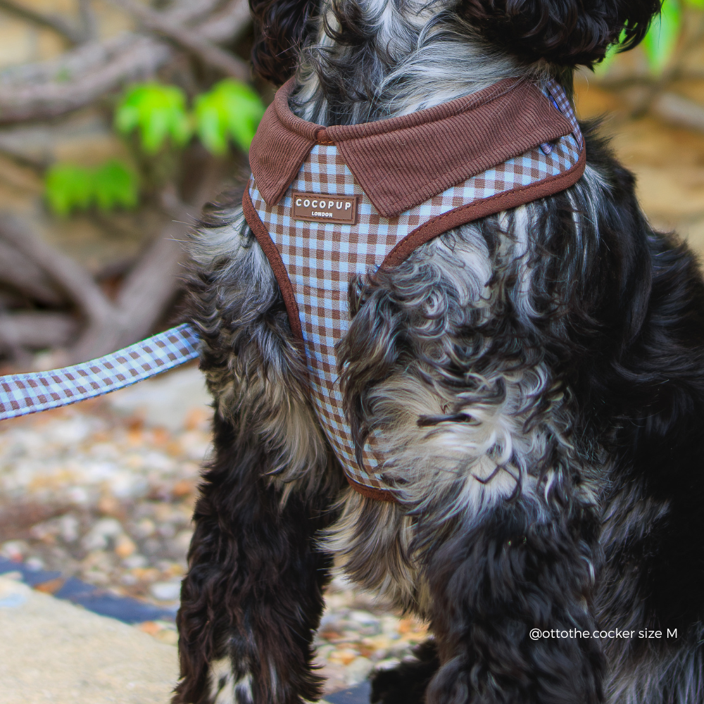 Chelsea Check Adjustable Neck HARNESS: L