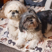 Shih Tzu Dog Blanket