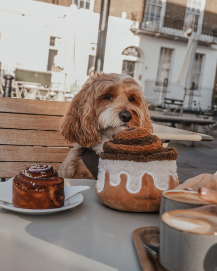 Cinnamon Roll Toy
