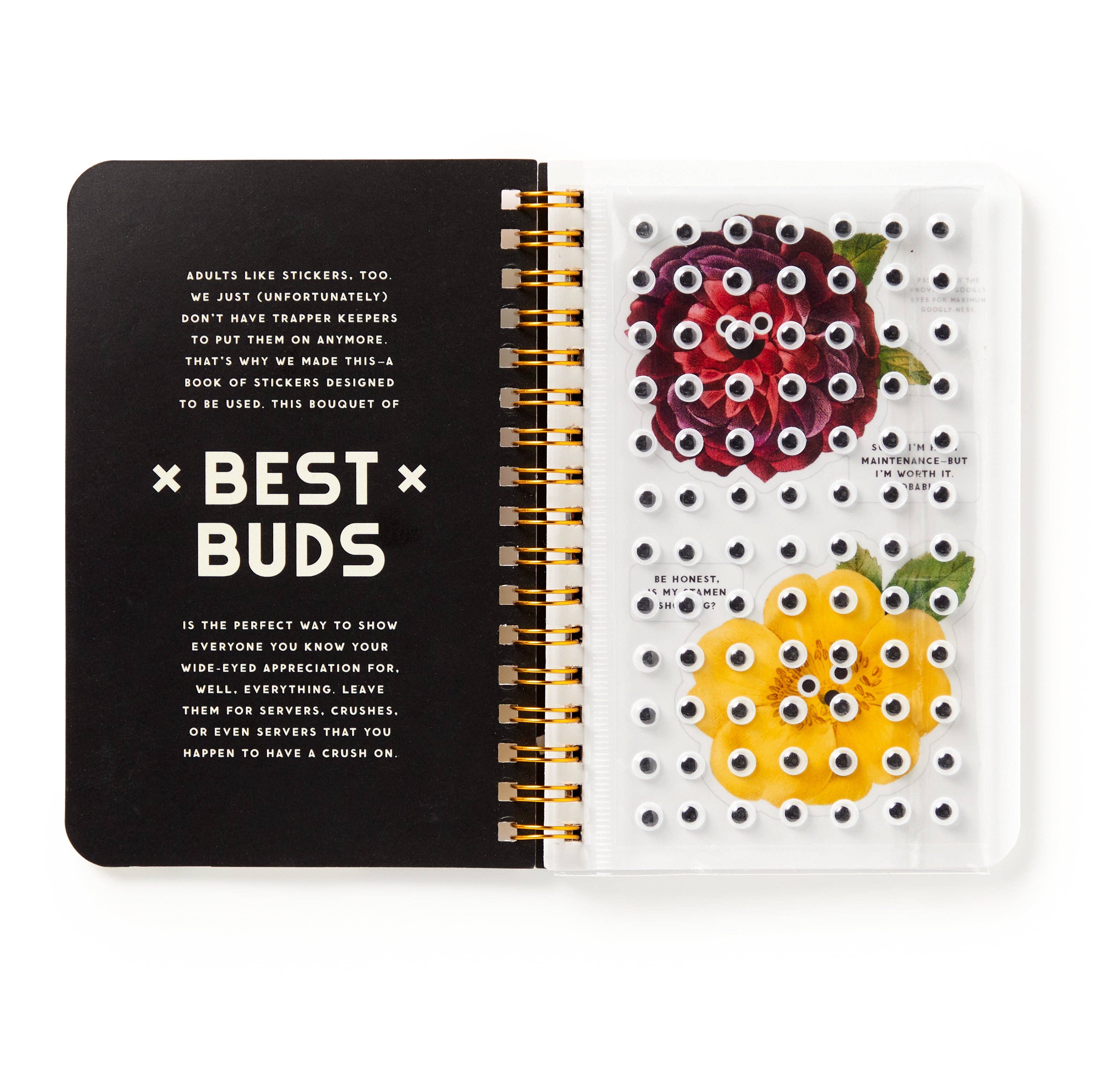 Best Buds Googly Sticker Book (Sticker Book or Pack)