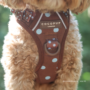 Explore Harness - Biscotti Blue: XL