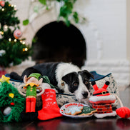 Merry Woofmas Clumsy Santa